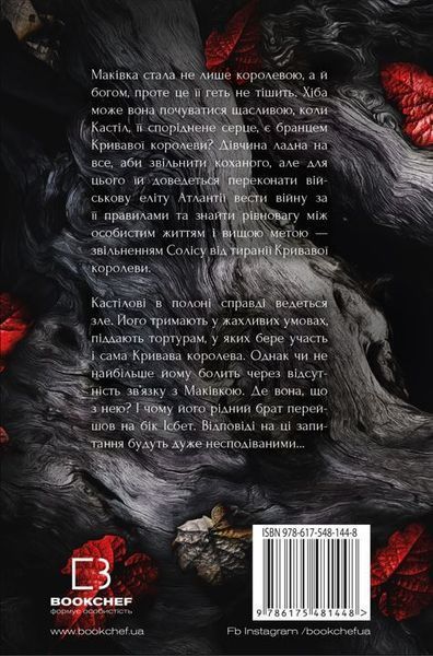 Кров і попіл. Книга 4. Війна двох королев. Дженніфер Л. Арментраут, Тверда