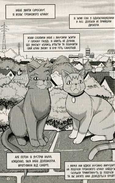 Коти-вояки. Манґа 2. Пригоди Сіросмуга. Прихисток вояка. Ерін Гантер 9786177995448 фото
