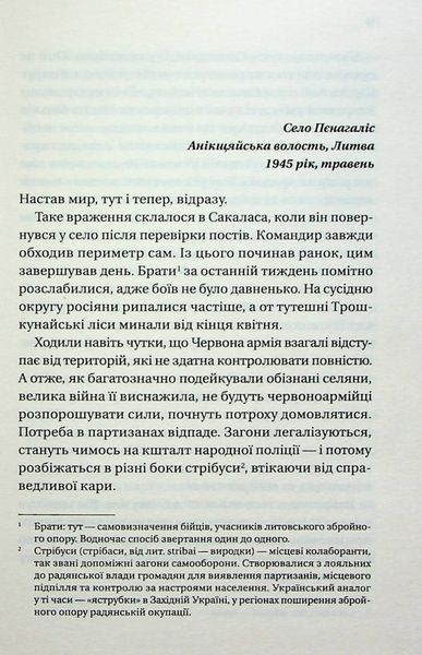Підпільна держава. Андрій Кокотюха 9786171702011 фото