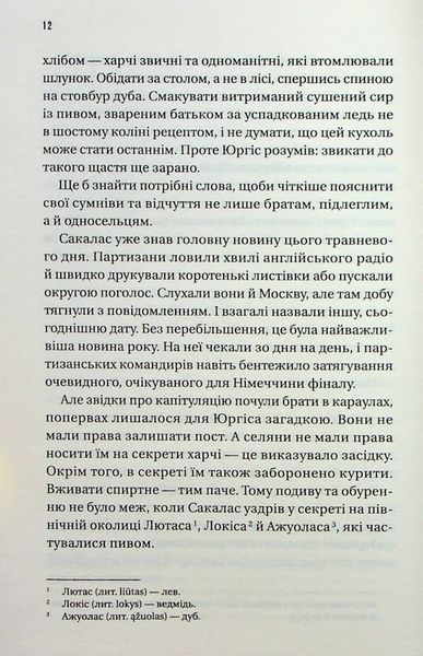 Підпільна держава. Андрій Кокотюха 9786171702011 фото