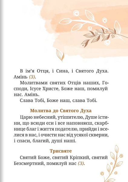 Чиста серцем. Молитовник жінки 9789669389916 фото