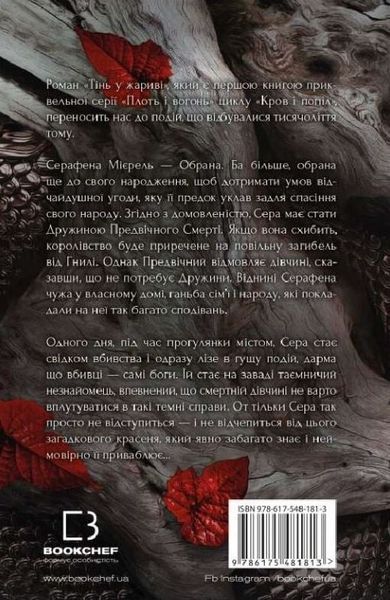 Плоть та вогонь. Книга 1. Тінь у жариві. Дженніфер Л. Арментраут, Тверда