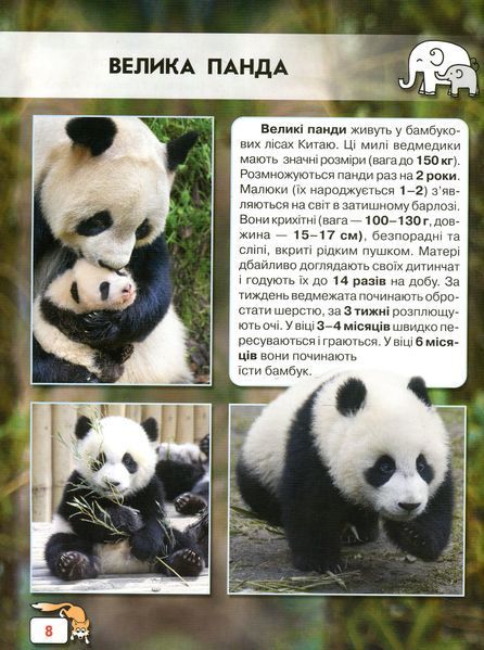 Світ навколо нас. Малята тварин 9789669369499 фото
