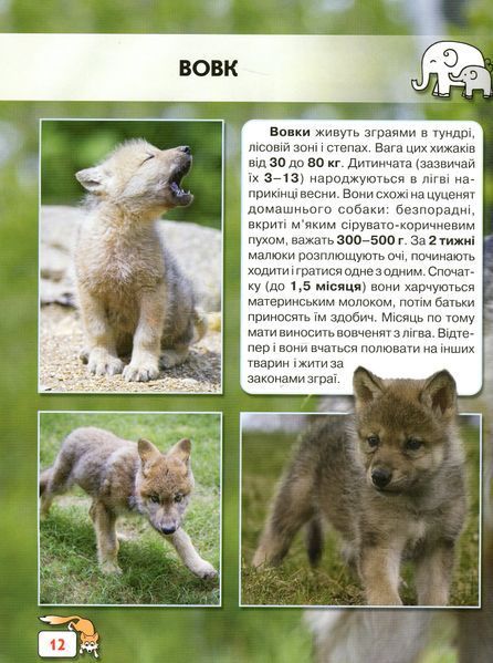 Світ навколо нас. Малята тварин 9789669369499 фото