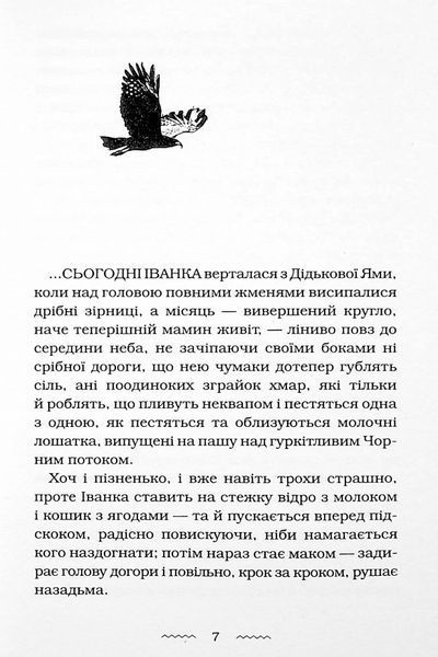 Черевички Божої Матері. Марія Матіос 9786175852248 фото