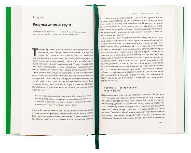 Правила розвитку мозку дитини. Ростимо розумного і щасливого малюка від 0 до 5 років. Джон Медіна 9786178277604 фото