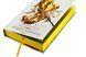Золото. Книга 5 (із кольоровим зрізом) Рейвен Кеннеді, Тверда + кольоровий зріз